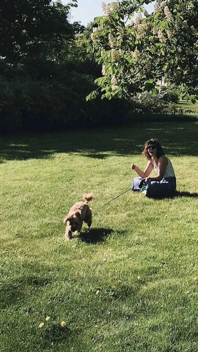 2e3dd8fa02eaa15add96eb1ff64708b77b784013