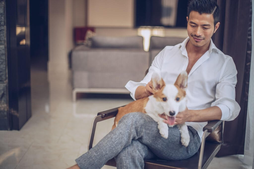 pet friendly 2